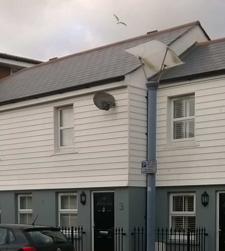 SHED AND BUILDING CLADDINGS